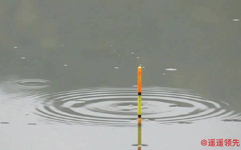 别再乱提竿！小飞哥拆解四大漂相：抓住这一种，中鱼率飙升95%