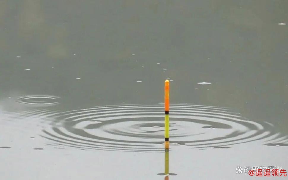 别再乱提竿！小飞哥拆解四大漂相：抓住这一种，中鱼率飙升95%