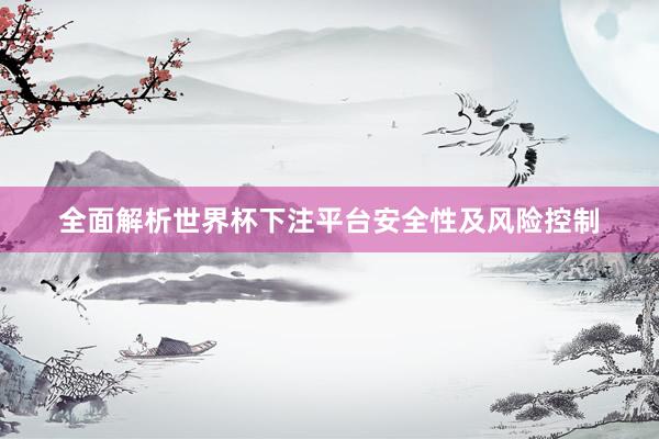 全面解析世界杯下注平台安全性及风险控制
